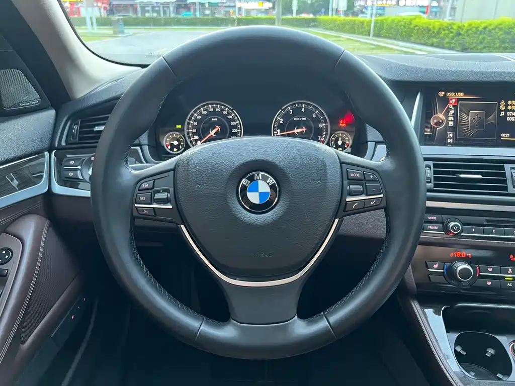 BMW 5 Series 2017 — фото 16