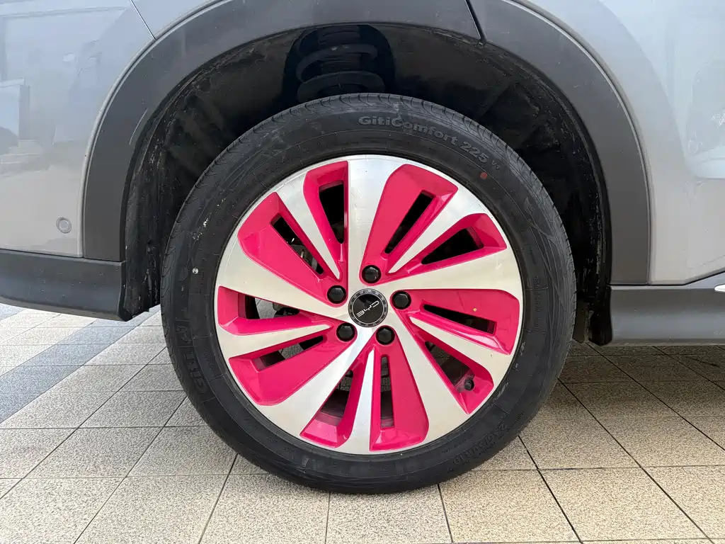 BYD PLUS New Energy 2024 — фото 12