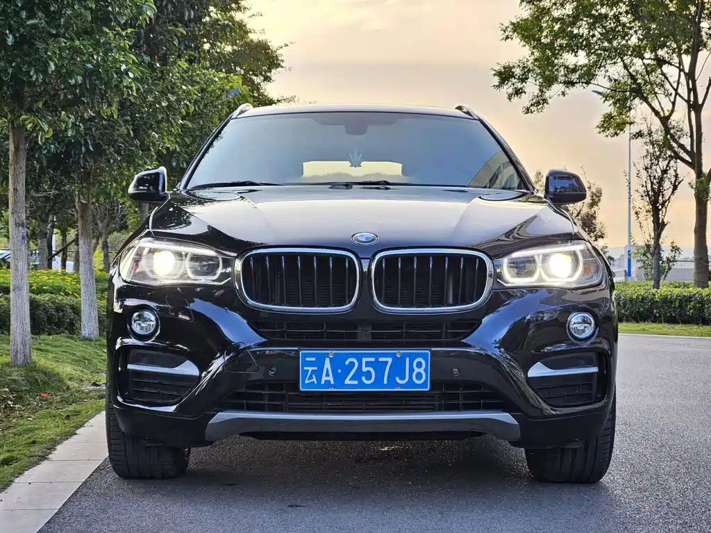 BMW X6 2016 — фото 2