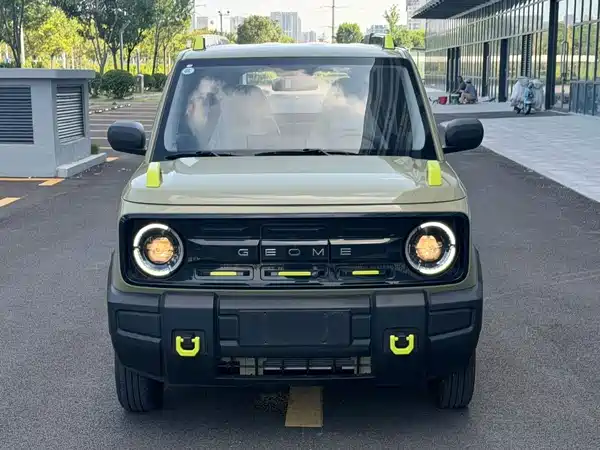 Geely Galaxy Panda 2024