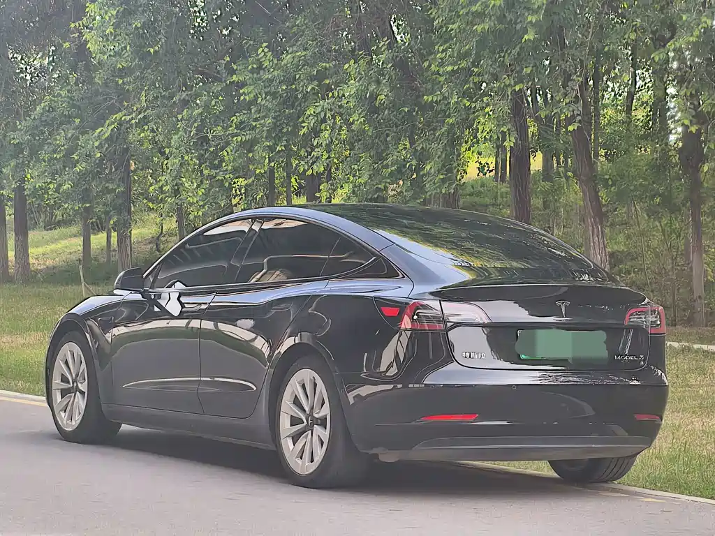Tesla Model 3 2021 — фото 4
