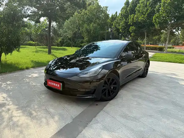 Tesla Model 3 2021