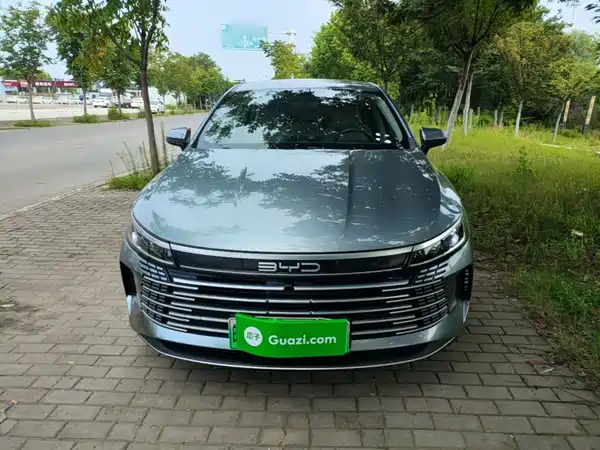 BYD Destroyer 05 2024