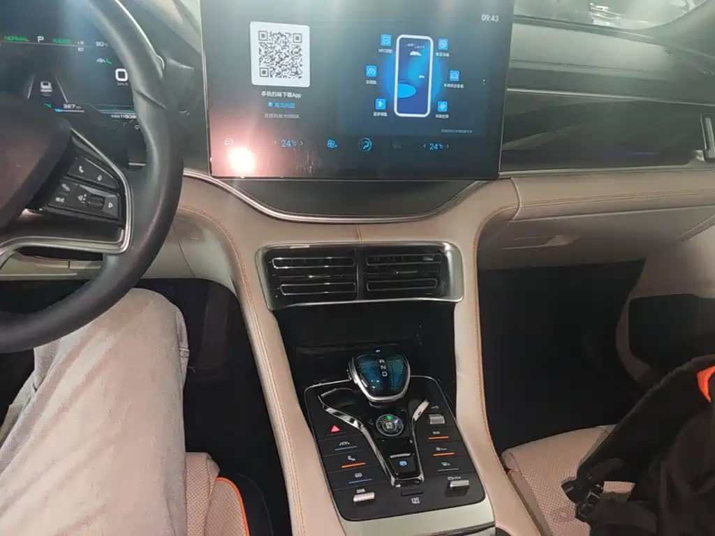 BYD Song PLUS New Energy 2021 — фото 13