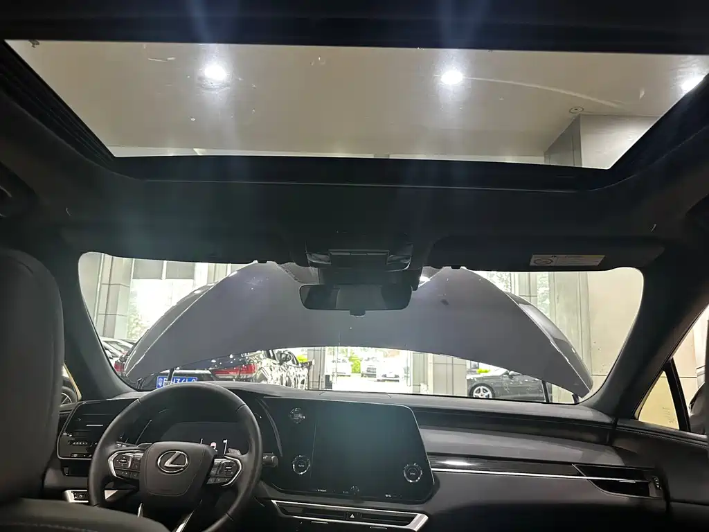 Lexus RX 2025 — фото 19