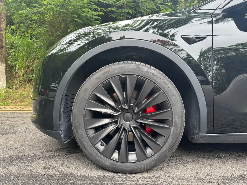 Tesla Model Y 2023 — фото 10