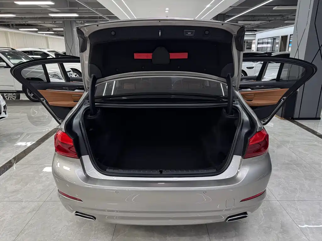 BMW 5 Series 2017 — фото 19