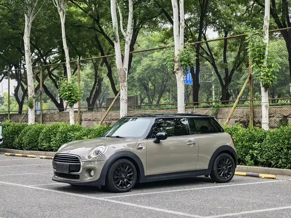 MINI MINI 2019