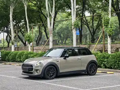 MINI MINI 2019