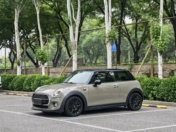 MINI 2019