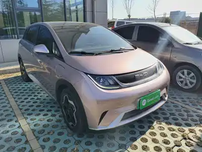 BYD Dolphin 2023