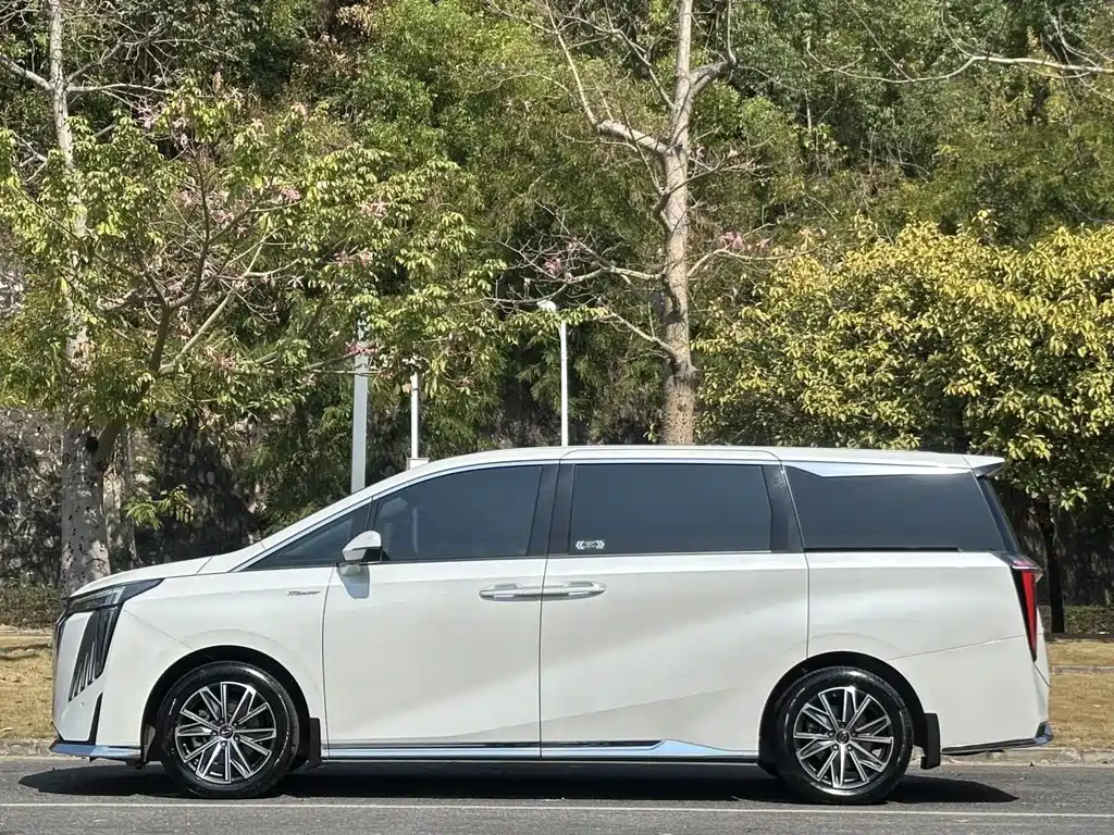 GAC Trumpchi M8 2024 — фото 17