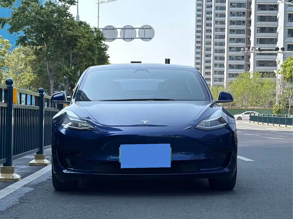 Tesla Model 3 2020 — фото 2