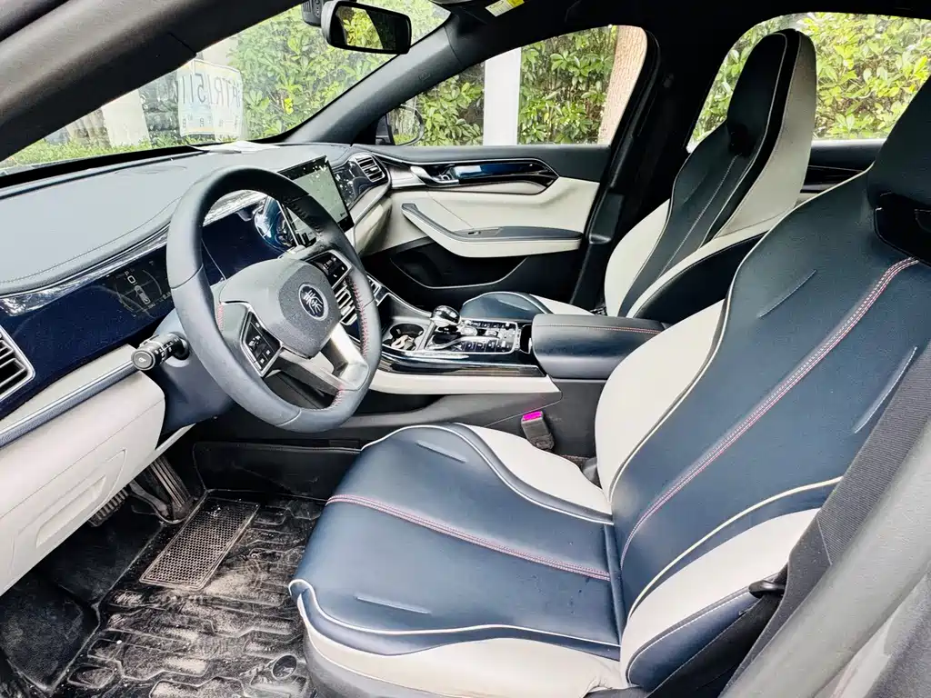 BYD Qin PLUS 2023 — фото 12
