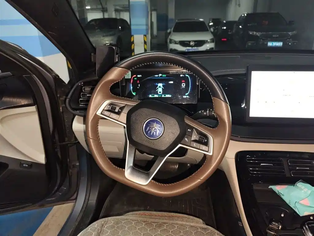 BYD Qin PLUS 2024 — фото 11