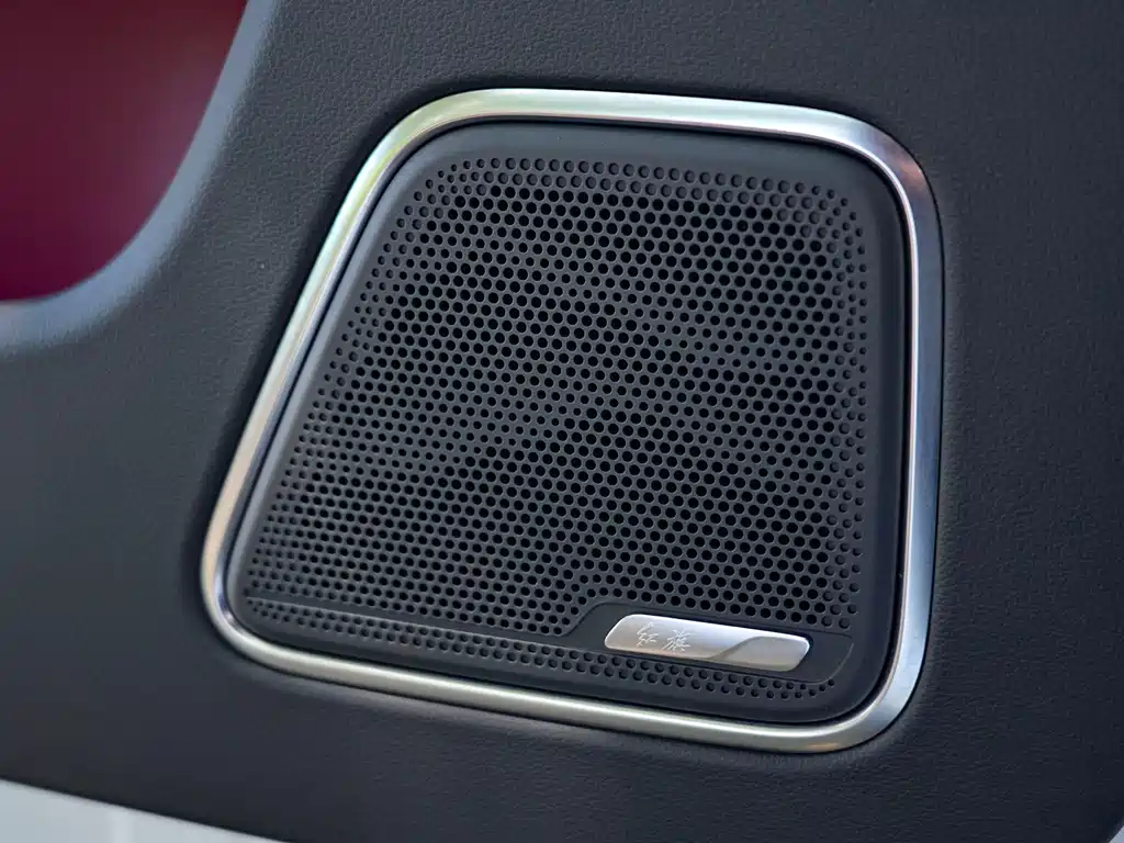 Hongqi E-HS9 2023 — фото 12
