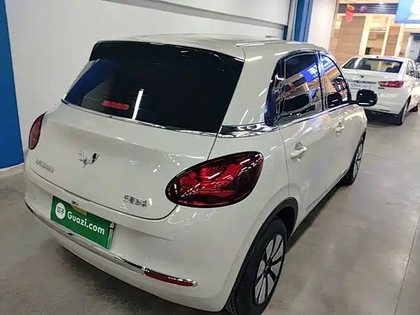 Wuling Bingo 2024
