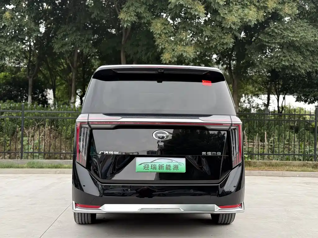 GAC Motor Xiangwang M8 2025 — фото 9