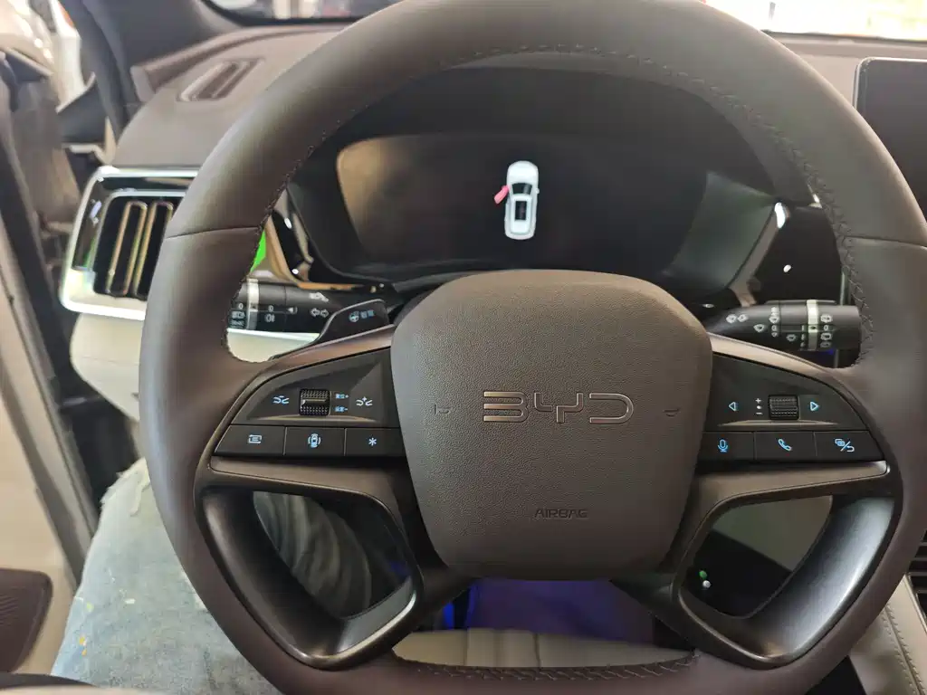 BYD PLUS New Energy 2025 — фото 4