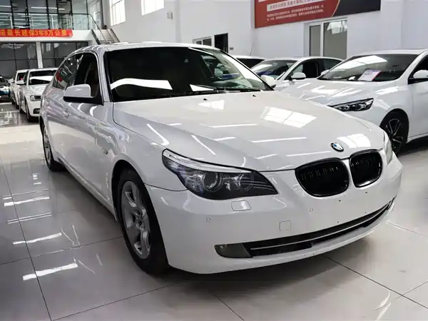 BMW 5 Series 2010
