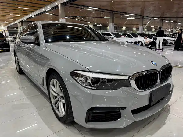 BMW 5 Series 2019
