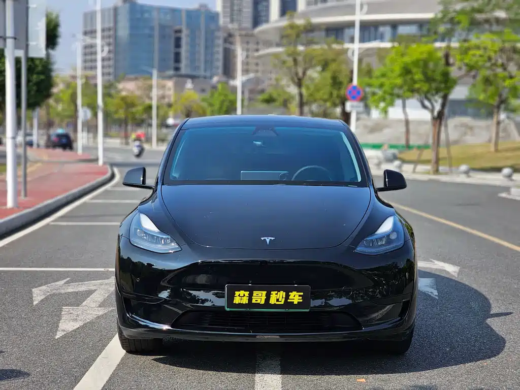 Tesla Model Y 2023 — фото 2