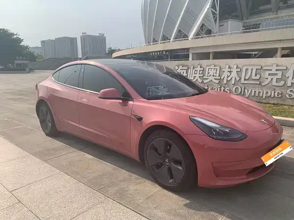 Tesla Model 3 2022