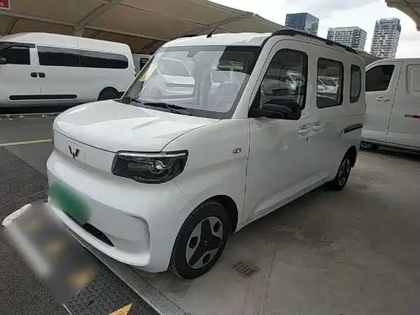 Wuling Zhiguang New Energy 2026