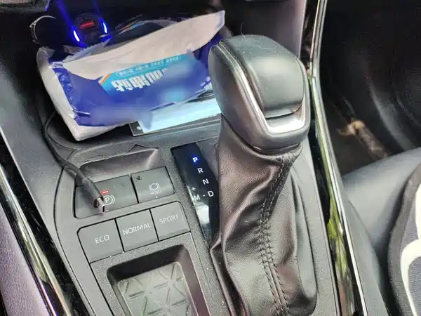 Toyota Wildlander 2022