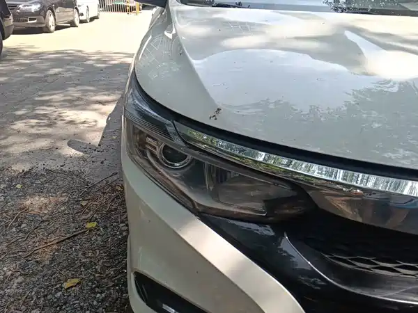 Honda Crider 2019