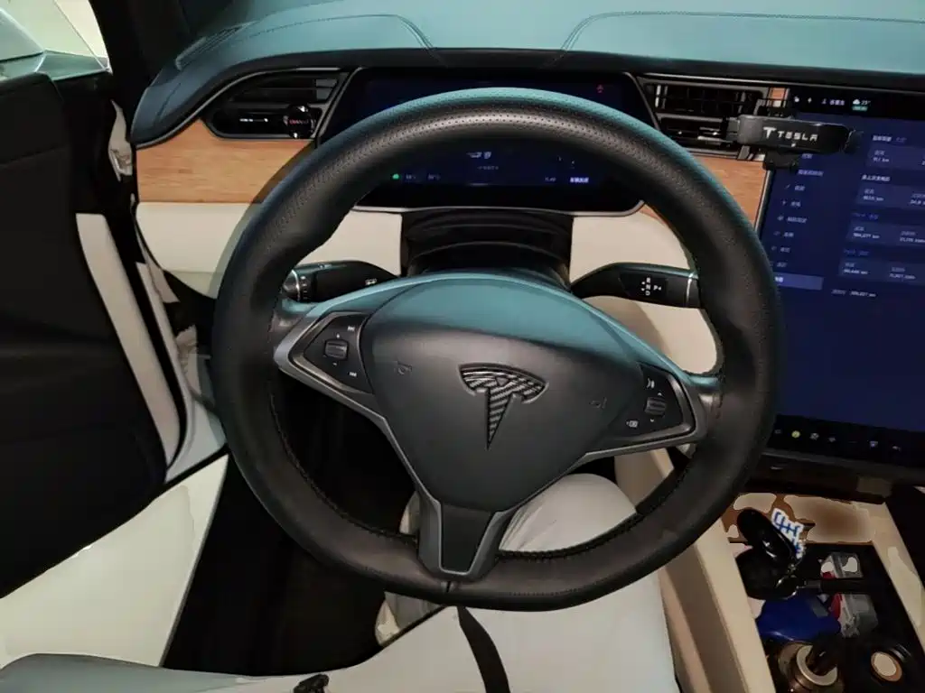 Tesla Model X 2021 — фото 11