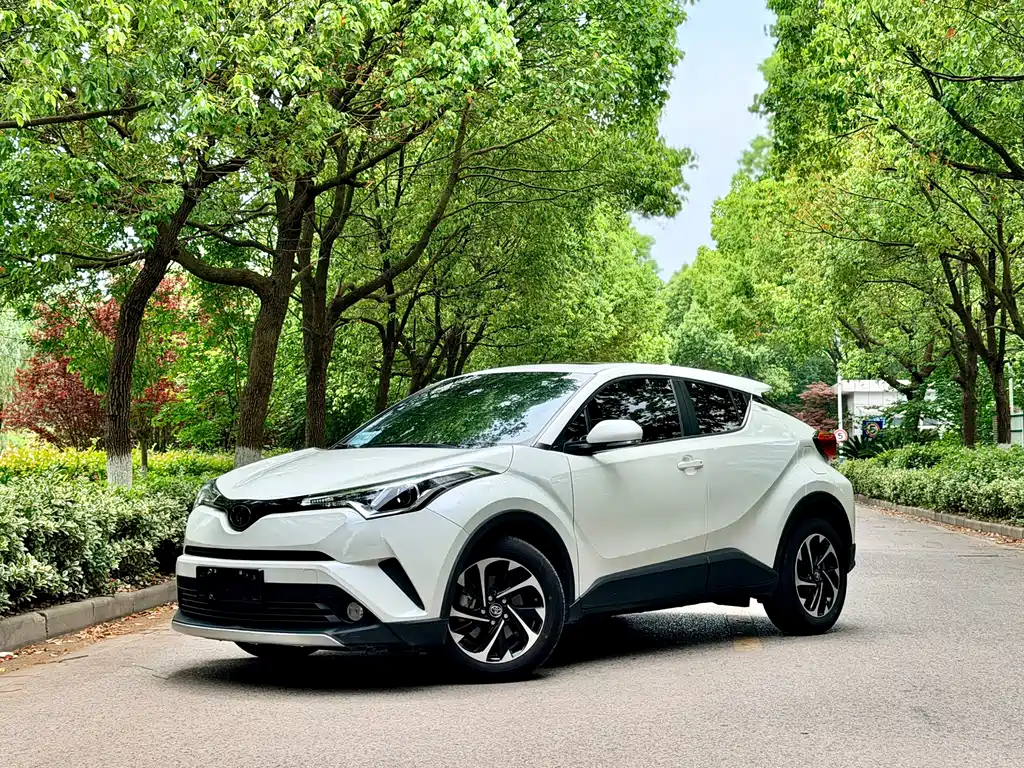 Toyota IZOA 2019