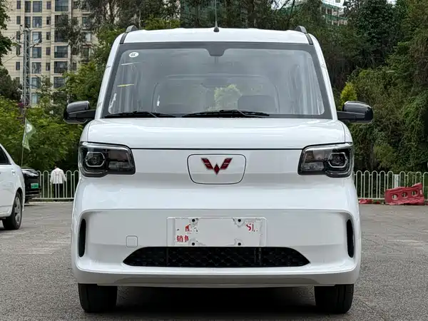 Wuling Zhiguang New Energy 2026