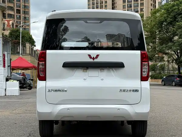Wuling Zhiguang New Energy 2026