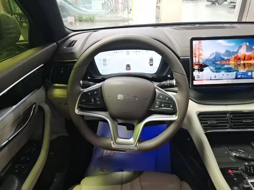BYD Song PLUS New Energy 2025 — фото 11