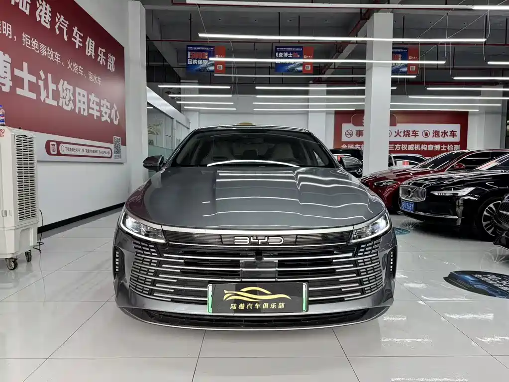 BYD Destroyer 05 2024 — фото 2