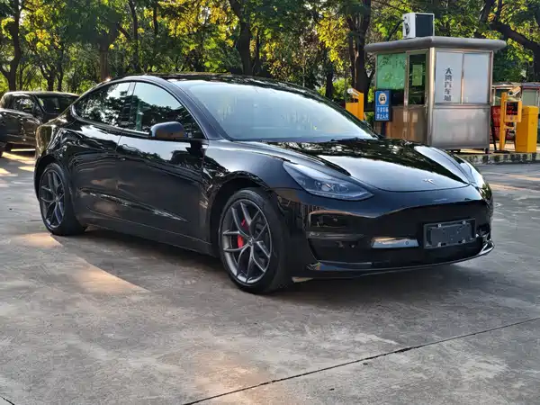 Tesla Model 3 2022
