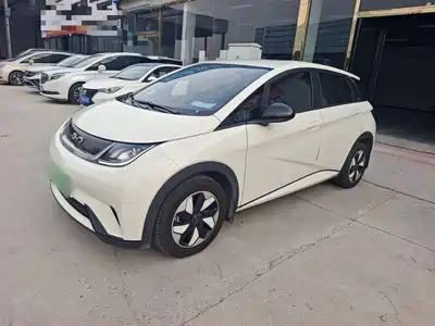 BYD Dolphin 2025