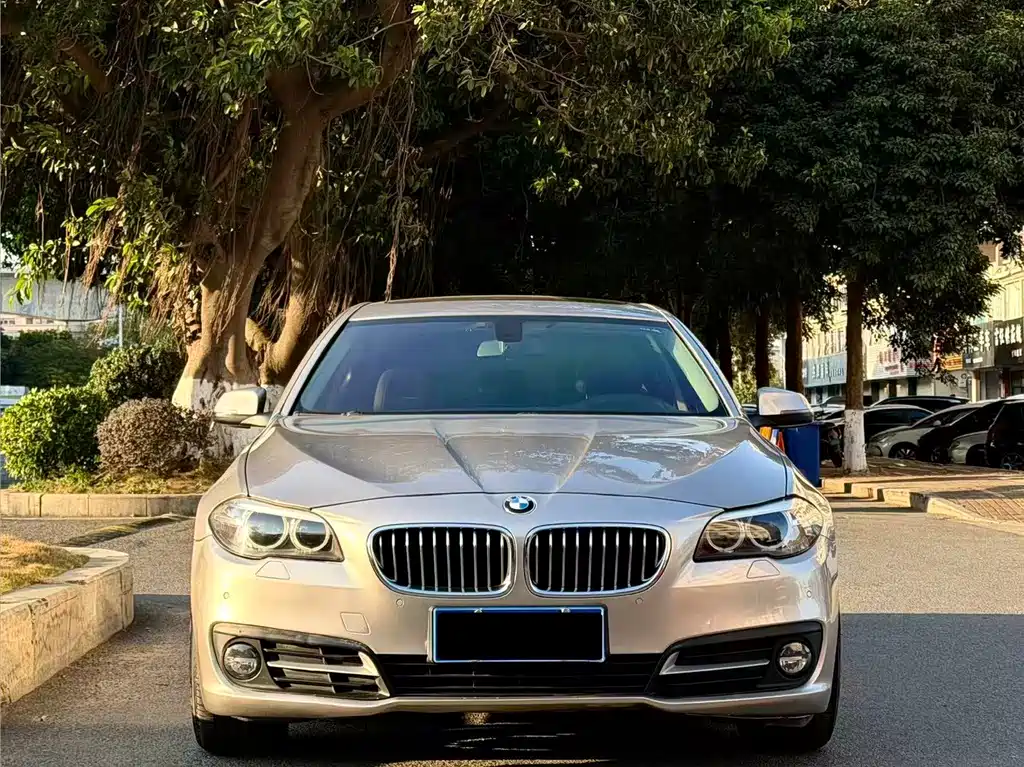 BMW 5 Series 2015 — фото 1