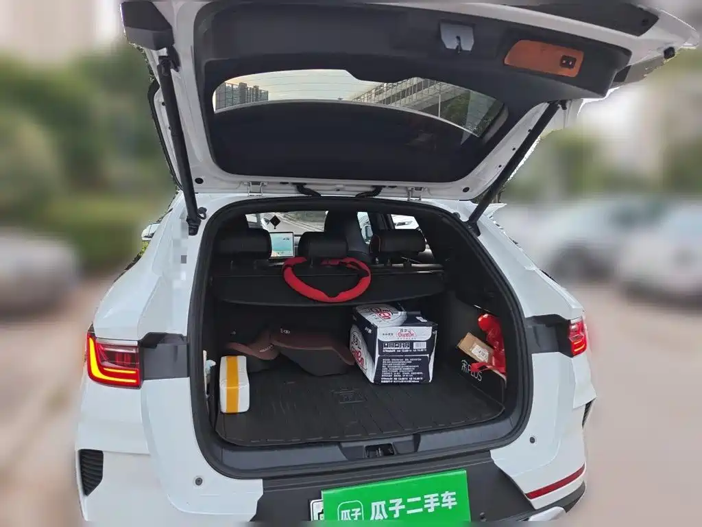 BYD Song PLUS New Energy 2023 — фото 20