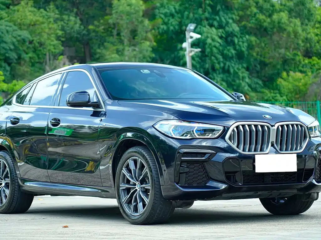 BMW X6 2022