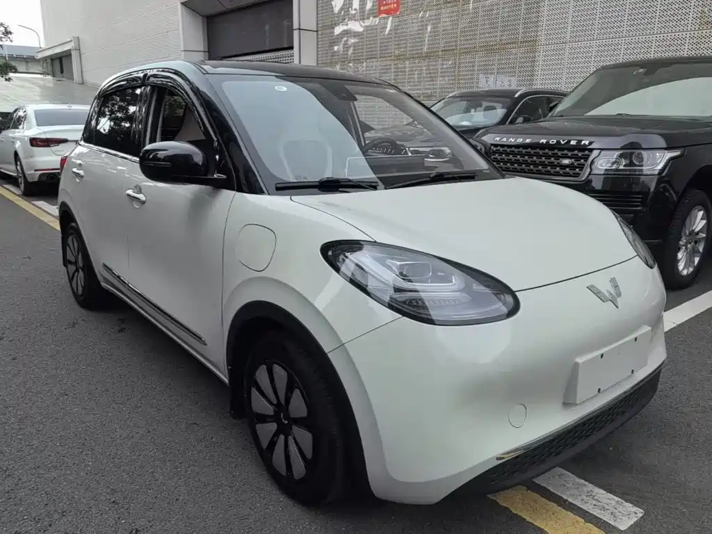 Wuling Bingo 2024