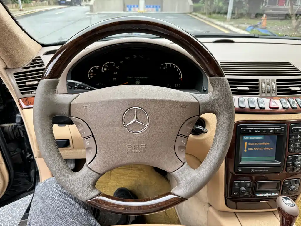 Mercedes-Benz S-Class 2001 — фото 13