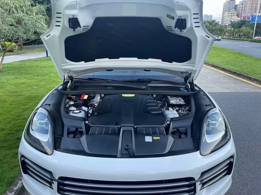 Porsche Cayenne New Energy 2020 — фото 13
