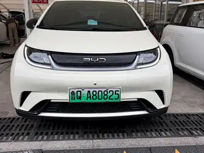 BYD Dolphin 2026