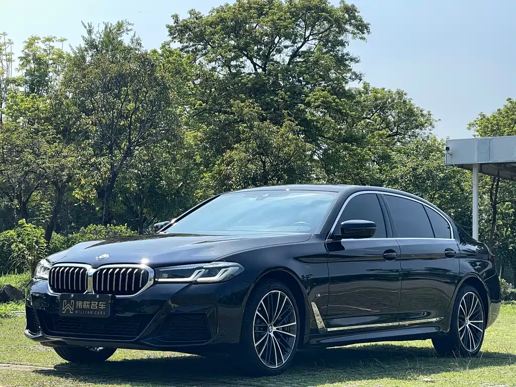 BMW 5 Series 2021