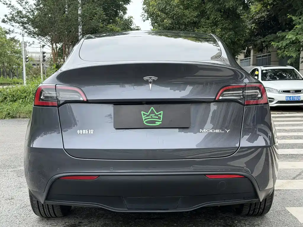 Tesla Model Y 2021 — фото 15