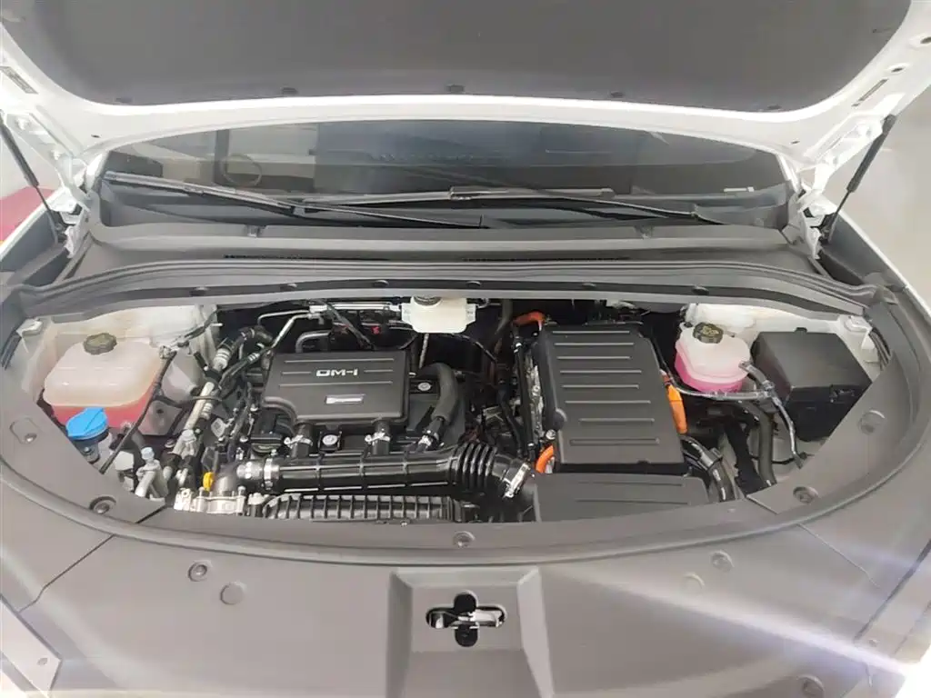BYD L DM-i 2025 — фото 20