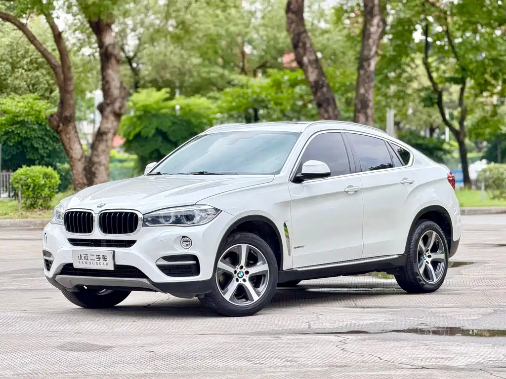 BMW X6 2015
