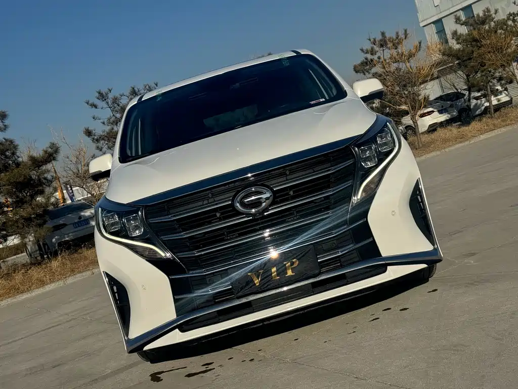 GAC Motor Trumpchi M8 2021 — фото 5